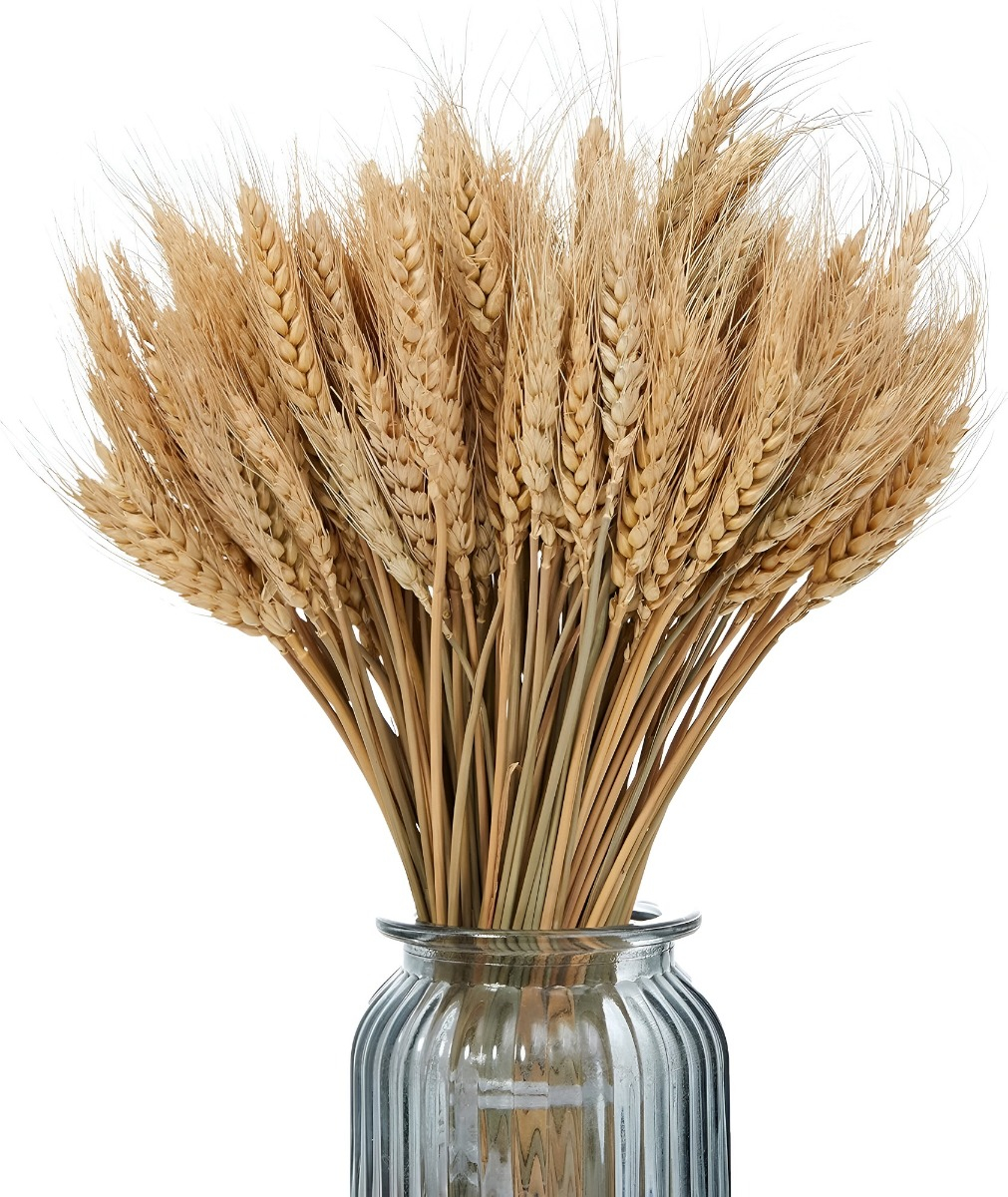 Genérico - Tallos De Trigo Seco Artificial Set De 4 Jhn