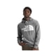 thumbnail image 1 of Poleron The North Face Hombre Half Dome Gris gris M, 1 of 4