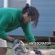 thumbnail image 4 of Gafas de seguridad para trabajo DEX FIT SG210 OTG, 6 pares, unisex, 4 of 6