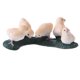 thumbnail image 3 of Simulación Animal Modelo Figuras De Acción Ni?os Juguete Regalo Pollos, 3 of 5