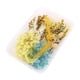 thumbnail image 4 of Hojas Prensadas De Flores Secas Reales Diy Para Hacer Joyas De Resina Epoxi Estilo 1, 4 of 5