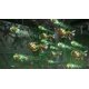 thumbnail image 5 of Videojuego NIS America R-Type Tactics I II Cosmos PS5, 5 of 7