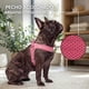 thumbnail image 4 of Arnés Petlounge Easy Glam Mascotas Perros Talla XS rosa, 4 of 6