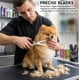 thumbnail image 3 of Tijeras profesionales de acero inoxidable de 7 pulgadas para grooming de mascotas ARSUK, 3 of 9
