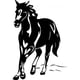 thumbnail image 1 of Decomural Horse Kids Childrens WS-32554, 1 of 2