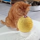 thumbnail image 5 of Comedero para hierba gatera, cepillo de aseo y masajeador facial para gatos, 5 of 6