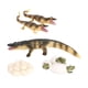 thumbnail image 4 of Ciclo De Vida Del Cocodrilo Naturaleza Insectos Crecimiento Modelo Animal Juguete Natural Para Ni?os, 4 of 5