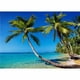 thumbnail image 1 of Cuadros Deco Moderno Paisaje Playa 2 Palmeras, 1 of 3