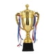 thumbnail image 3 of Trofeo De Premio Copa Adultos Trofeo Para Campeonatos Deportivos Recompensas Favores De Fiesta Altura 38,5 Cm, 3 of 5
