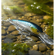 thumbnail image 3 of Señuelo Storm Thunder Barra (la Enojona O Cara De Malo) Color Whu, 3 of 6