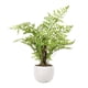 thumbnail image 1 of Planta Artificial Helecho 40 cm, 1 of 1