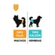 thumbnail image 4 of 48 Pañales Perro Macho Talla L Incontinencia Adulto Higiene Blanco Macho L 65 X 20cm, 4 of 12
