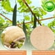 thumbnail image 5 of Exfoliating Lodeah Sponge Body Scgoma,2 Pcs Natural Lodeah Shower,Natural Lodeah Sponges,Shower Body Exfoliato Scrubbing Almohadillas,Lodeah Back Pincel, para mujeres and Hombres,Shower, 5 of 6