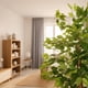 thumbnail image 3 of Planta Artificial Decorativa Arbol Grande Ficus 160cm 1008h, 3 of 9