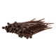 thumbnail image 1 of Bridas GTSE de 10 cm, nailon marrón, 100 unidades, 8 kg de resistencia, 1 of 2