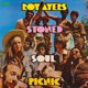 thumbnail image 1 of Vinilo Victrola Stoned Soul Picnic, 1 of 1