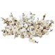 thumbnail image 1 of Candelabro Nearly Natural de flor de ciruelo con vaso de vidrio transparente, 1 of 5