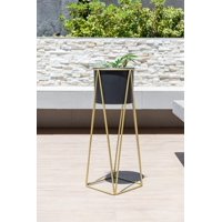 Kautiva - Gala Dorado Con Maceta Negra M