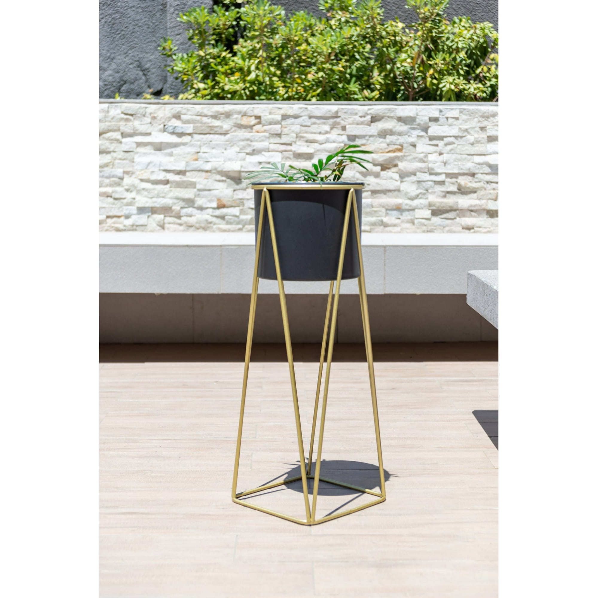 Kautiva - Gala Dorado Con Maceta Negra M