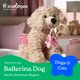 thumbnail image 2 of Peluche perro bailarina Scruffy de The Petting Zoo 25 cm, 2 of 8
