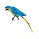 thumbnail image 2 of pluma artificial azul aves loro artesanía taxidermia arte decoración ornamento, 2 of 5