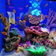 thumbnail image 4 of Decoración artificial para acuario, anémona de mar de silicona, adorno para pecera., 4 of 8