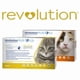 thumbnail image 3 of Pipeta REVOLUTION PLUS 2,5 a 5 kg - Antiparasitario Int/Ext, 3 of 3
