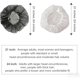 thumbnail image 2 of Cofia Desechable ZMDREAM Tipo Bouffant para Cabello, 2 of 3
