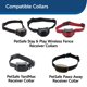 thumbnail image 4 of Correa de repuesto PetSafe 3/4 para collares PetSafe, 4 of 6