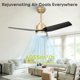 thumbnail image 2 of Ventilador de techo Vaczon 42" negro y dorado con control remoto, 6 velocidades, motor DC, 2 of 9