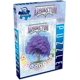 thumbnail image 2 of Rompecabezas Renegade Game Studios Arboretum de 1000 piezas, 2 of 3
