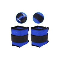Genérico - Par De Pesas Tobillera/Muñequera De 0,5Kg C/U Total 1Kg Color Azul