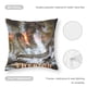 thumbnail image 5 of Leviatán Fundas de almohada de terciopelo con tema, regalos de funda de almohada, decoración para el hogar, cojín de lanzar, regalo de cumpleaños para fans y parejas.30*30cm., 5 of 6