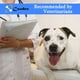 thumbnail image 3 of Arnés para levantamiento de perros Coodeo Support Rehabilitation Sling Blue XL, 3 of 8