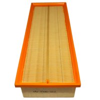 Motorcraft - Filtro Aire Ford Territory 1.5 2018-2022 Genuino