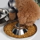 thumbnail image 3 of Cuenco de acero inoxidable para perros, arena para cachorros martillada, alimento para cachorros, suministros para cachorros, cuencos de comida para perros de acero inoxidable, para perros grandes,, 3 of 8