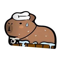 Bothyi - Alfombra De Baño Capybara, Alfombra De Baño Suave Antideslizante, Alfombra De Ducha, Alfombra De Baño, Alfombra De Baño A