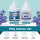 thumbnail image 2 of Solución limpiadora Steam & Go Desmineralized Water 3.8L, 2 of 6