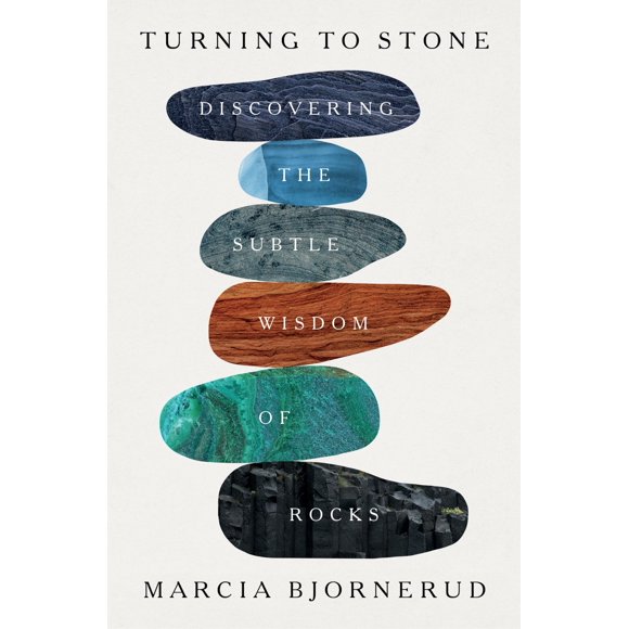 Libro Turning to Stone de Flatiron Books