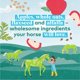 thumbnail image 3 of Galletas para Caballo Honest to Goodness Manzana y Plátano – Paquete de 0,9 kg, 3 of 6