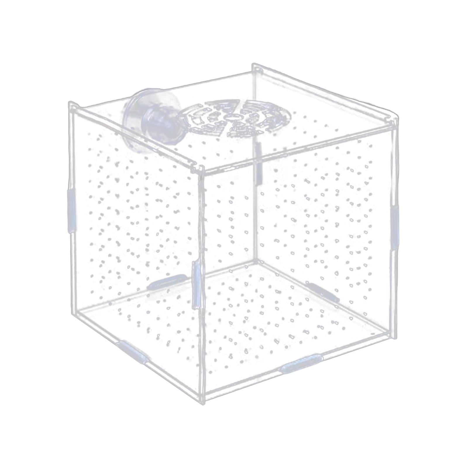 Caja De Aislamiento De Acuario Suministro De Acuario Transparente Para Peces Agresivos Camarones Bebés 10x10x10cm