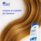 thumbnail image 5 of Shampoo Head & Shoulders Limpieza Renovadora Pack, 750 ml, 5 of 6