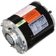 thumbnail image 2 of Motor Dial 2201, 1/3 CV, 115 V, 1 SPD, 56 Z, marco 100% cobre, 2 of 2