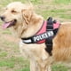 thumbnail image 2 of Arnes Police K9 Reforzado Perros Medianos Grandes M L Xl, 2 of 2