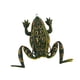 thumbnail image 5 of Señuelo De Rana Para Pesca, Anzuelos Resistentes Y Resistentes Para La Pesca De Lubina, Trucha, Lucio, Verde Oscuro, 5 of 5