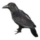 thumbnail image 5 of Artisticial Realistic Woodland Bird para Garden Weding Decoración del hogar Style01, 5 of 5