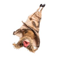 Bothyi - Murciélago Colgante De Halloween, Decoración Realista De Halloween Para Jardín, Exterior, Hogar, Marrón S