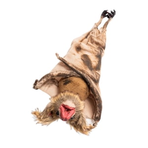 Bothyi - Murciélago Colgante De Halloween, Decoración Realista De Halloween Para Jardín, Exterior, Hogar, Marrón S