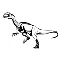 Rienda Libre Graphics - Decomural Velociraptor Jurassic Dinosaur Ws-17551