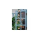 thumbnail image 2 of Guirnalda solar exterior Abejas 20 luces 485 cm, 2 of 3